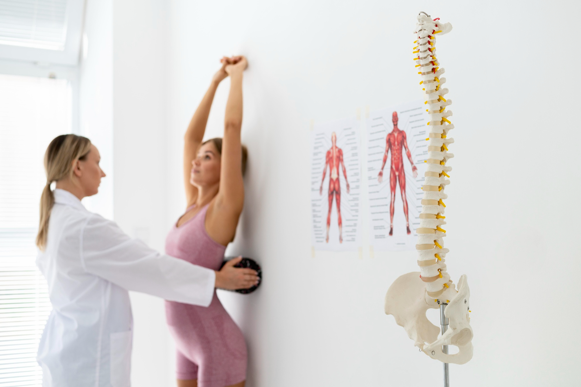 Anatomy of the lumbar spine - Fasciaclinics.se