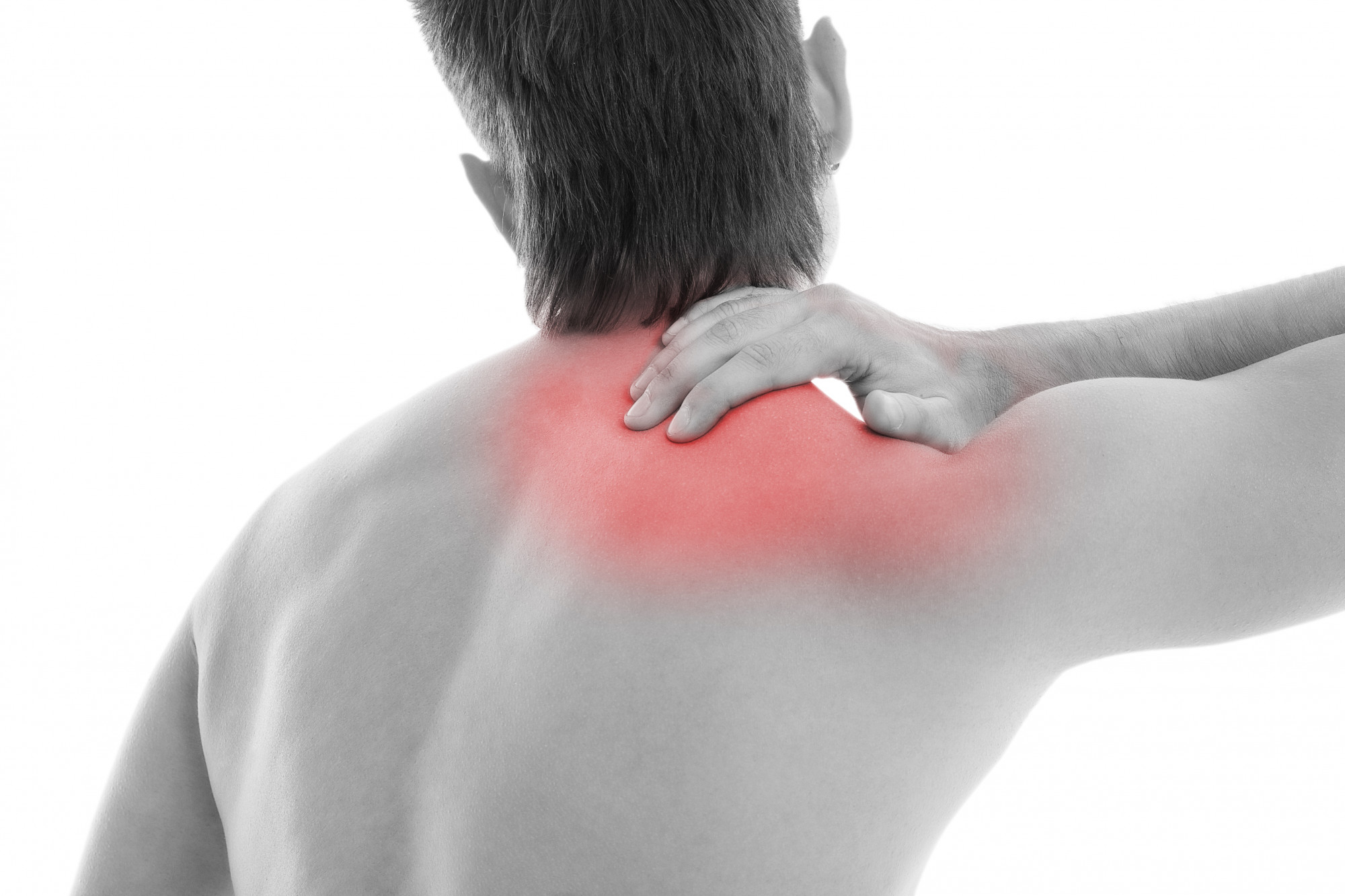 Anatomy of the Shoulder Blade - Fasciaclinics.com